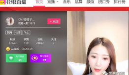 91直播一妹币多少钱,多少钱能兑换一妹币？