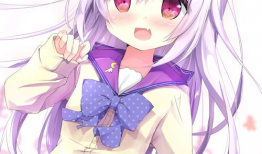 小萝莉动漫,小萝莉动漫的纯真魅力